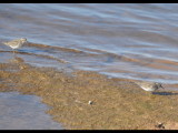 DSC_0404b.JPG