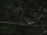 DSC_0827b.JPG