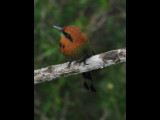 DSC_0843b1.JPG
