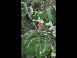 DSC_0881b.JPG