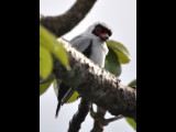 DSC_1050b.JPG