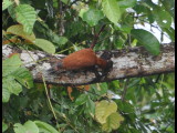 DSC_1242b.JPG