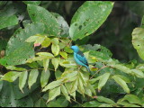 DSC_1429b.JPG