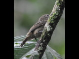 DSC_0007b.JPG