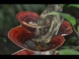 DSC_0019b.JPG
