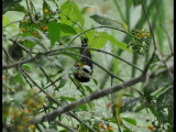 DSC_0345b.JPG