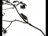 DSC_0146b.JPG