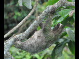 DSC_0806b.JPG