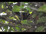 DSC_0284b.JPG
