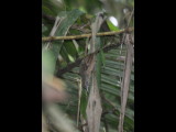 DSC_0303b.JPG