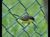 DSC_0171b.JPG