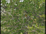 DSC_0007b.JPG
