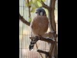 DSC_2211b.JPG
