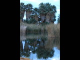 DSC_3186b.JPG