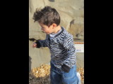 IMG_1835b.JPG