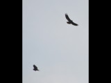 DSC_0015b.JPG