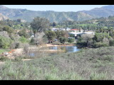 DSC_0246b.JPG