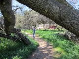 IMG_1906b.JPG