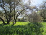IMG_1908b.JPG