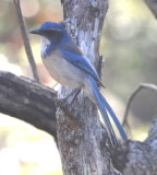 DSC_0387b2.JPG
