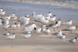 DSC_0581b.JPG