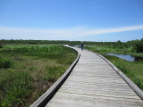 IMG_2317b.JPG