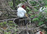 DSC_0005b.JPG