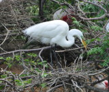 DSC_0008b.JPG