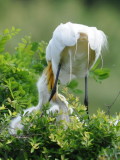 DSC_0047b.JPG