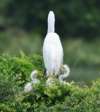 DSC_0108b.JPG