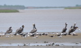 DSC_0150b.JPG