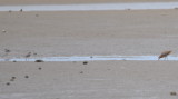 DSC_0173b.JPG