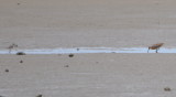 DSC_0175b.JPG