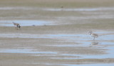 DSC_0249b.JPG