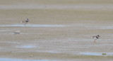 DSC_0265b.JPG