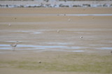 DSC_0324b1.JPG