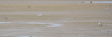 DSC_0330b.JPG