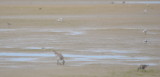 DSC_0332b.JPG