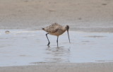 DSC_0402b.JPG