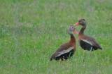 DSC_0670b.JPG