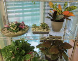 IMG_3154b.JPG