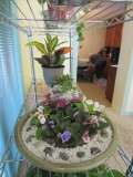 IMG_3159b.JPG