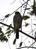 DSC_0904b.JPG