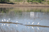 DSC_1790b.JPG