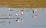 DSC_1884b.JPG