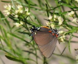 DSC_1958b.JPG