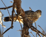 DSC_0049b.JPG