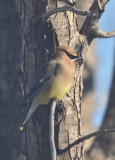 DSC_1506b.JPG