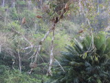 IMG_1824b.JPG