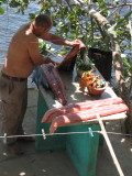 IMG_1976b.JPG